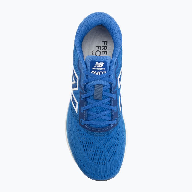 Мъжки обувки за бягане  New Balance Fresh Foam Evoz V4 blue bird/ 103 white 5