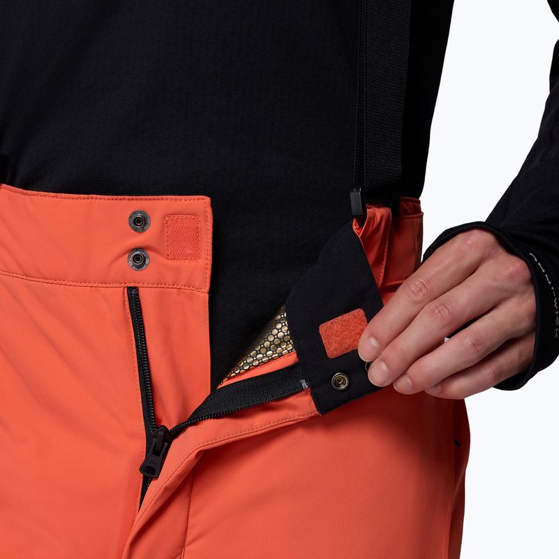 Мъжки скиорски панталони Columbia Cirque Bowl zing 8