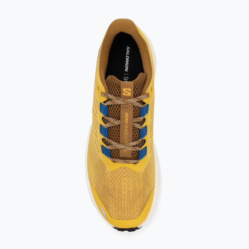 Мъжки обувки за бягане Salomon Aero Blaze 3 GRVL spicy mustard/vanilla ice/nautical blue 5