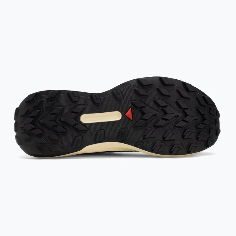 Мъжки обувки за бягане Salomon Genesis transparent yellow/black/willowherb 4