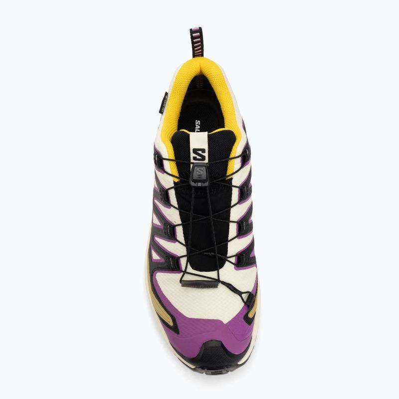 Мъжки обувки за бягане Salomon XA PRO 3D V9 GTX transparent yellow/black/waterfall 5