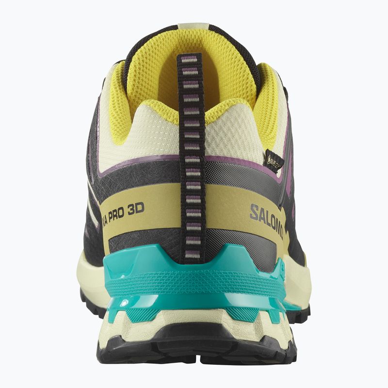 Мъжки обувки за бягане Salomon XA PRO 3D V9 GTX transparent yellow/black/waterfall 10