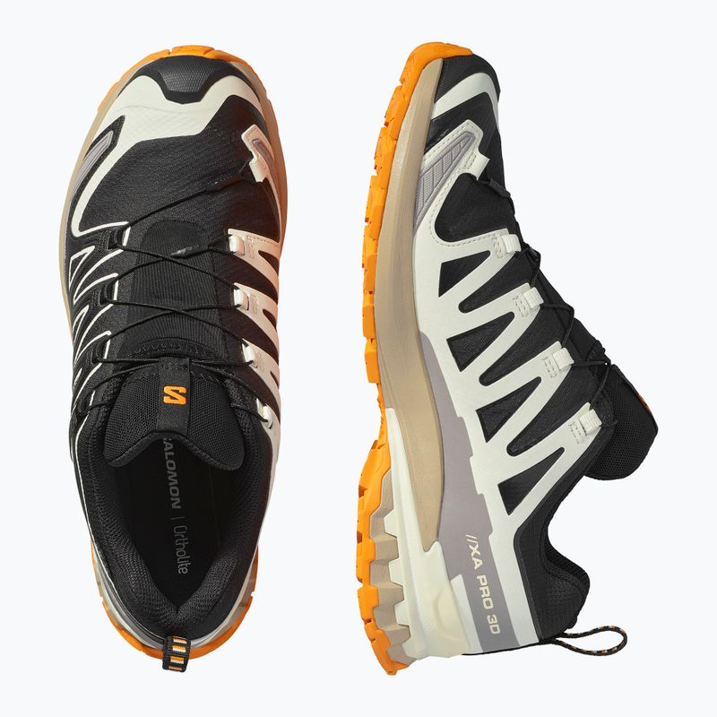 Мъжки обувки за бягане Salomon XA PRO 3D V9 GTX black/vanilla ice/turmeric 12