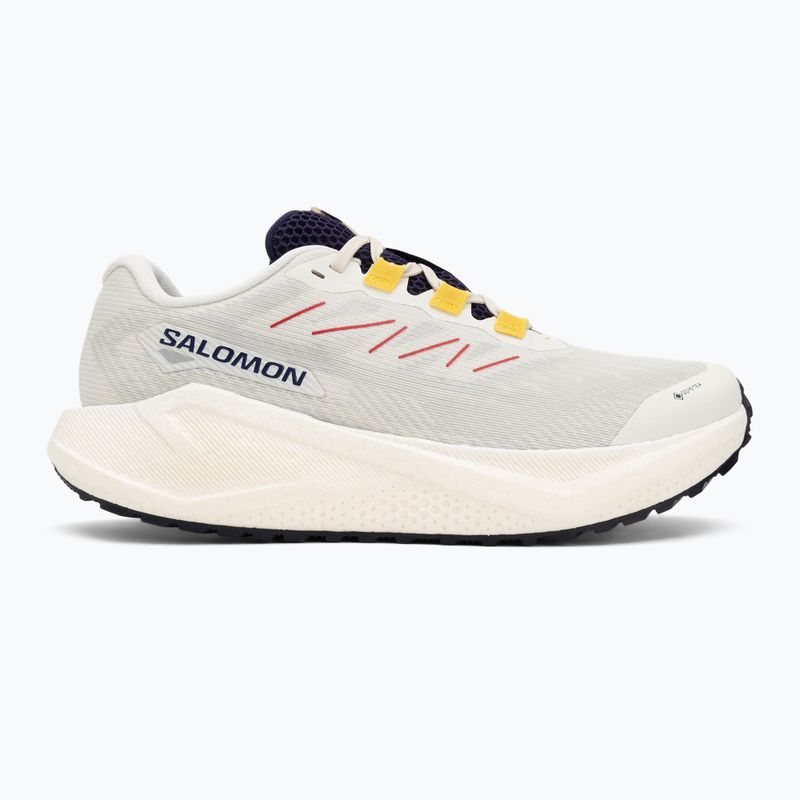 Мъжки обувки за бягане Salomon Aero Blaze 3 Gravel GTX vanilla ice/astral aura/lemon 2