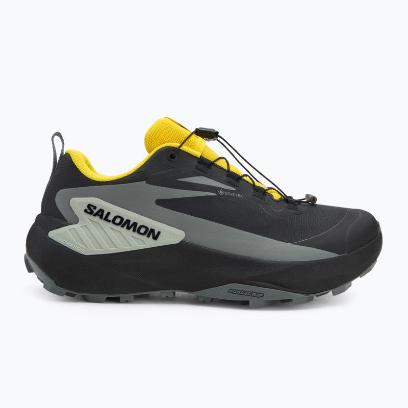 Мъжки обувки за бягане Salomon Genesis GTX black/sedona sage/incaberry 2