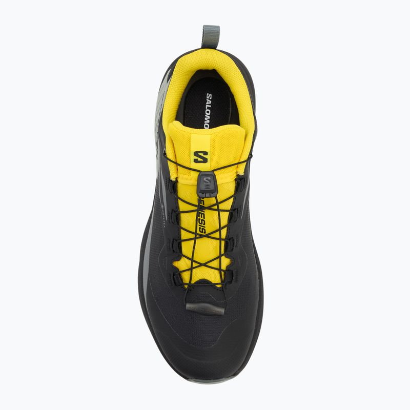 Мъжки обувки за бягане Salomon Genesis GTX black/sedona sage/incaberry 5