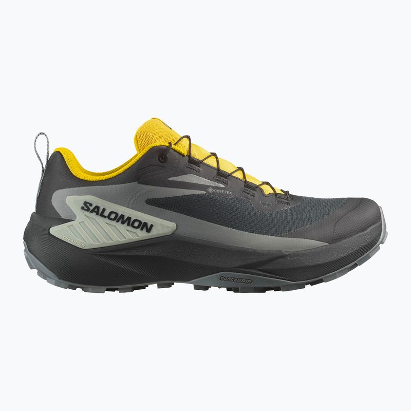 Мъжки обувки за бягане Salomon Genesis GTX black/sedona sage/incaberry 9