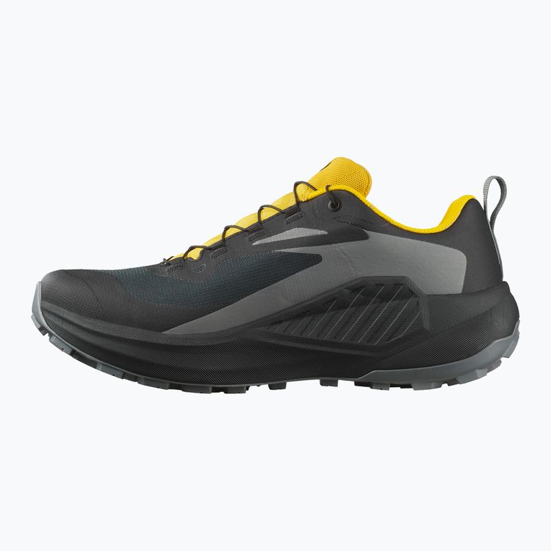 Мъжки обувки за бягане Salomon Genesis GTX black/sedona sage/incaberry 10