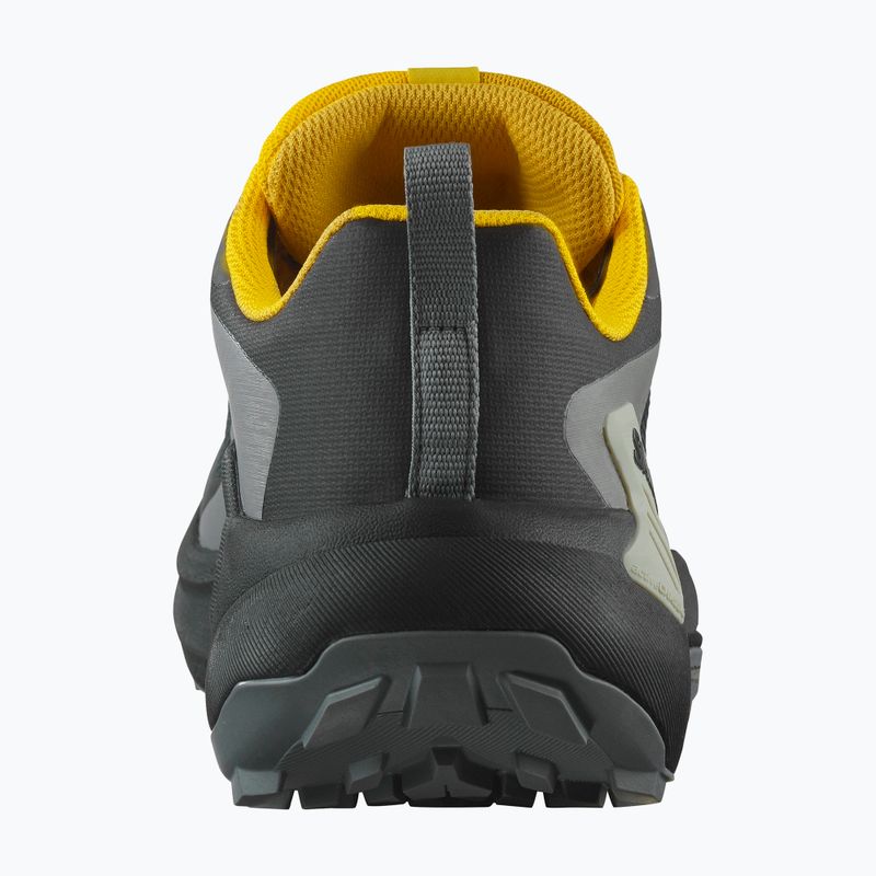 Мъжки обувки за бягане Salomon Genesis GTX black/sedona sage/incaberry 11