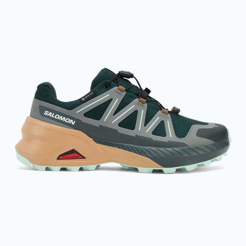 Дамски обувки за бягане Salomon Speedcross Peak GTX scarab/soft clay/bay 2