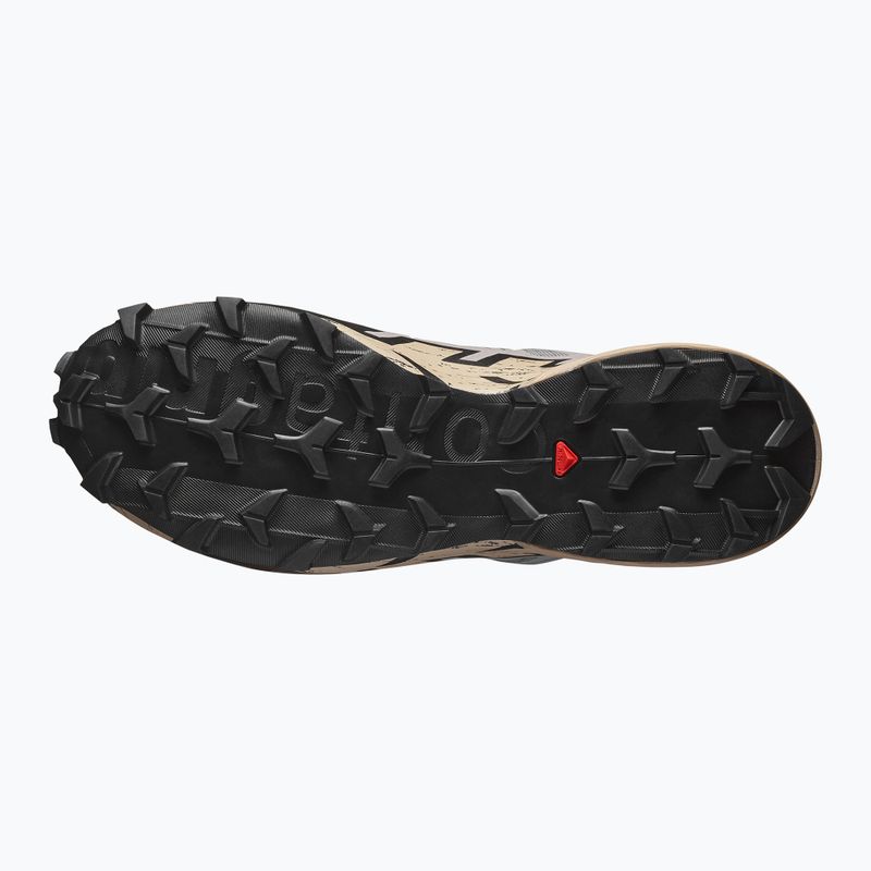 Мъжки обувки за бягане Salomon Speedcross 6 GTX gull/white pepper/black 5