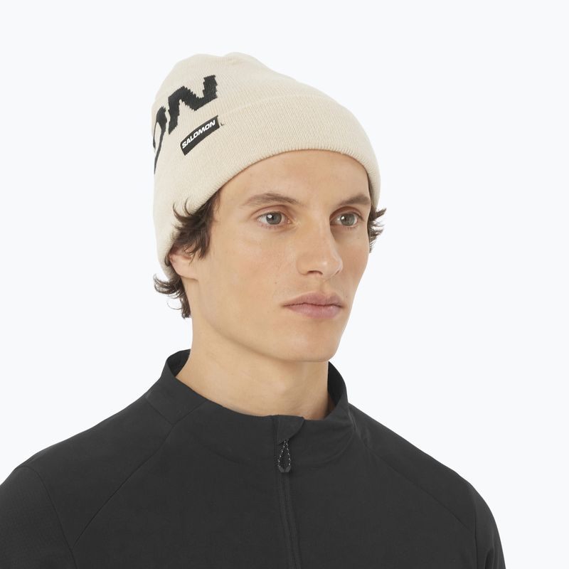 Зимна шапка Salomon Hermitage whisper white 2