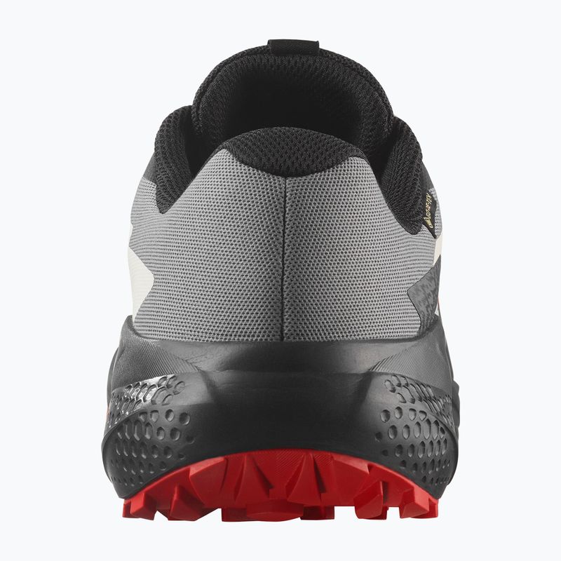 Мъжки обувки за бягане Salomon Alphaglide GTX flame scarlet/black/pewter 10