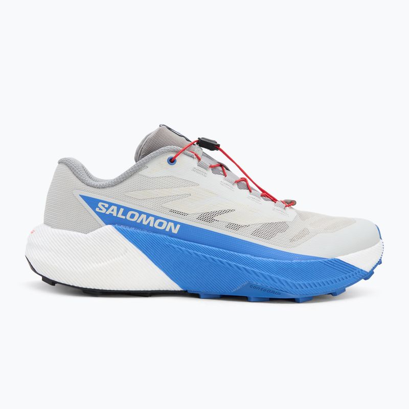 Мъжки обувки за бягане Salomon Pulsar lunar rock/white/french blue 2