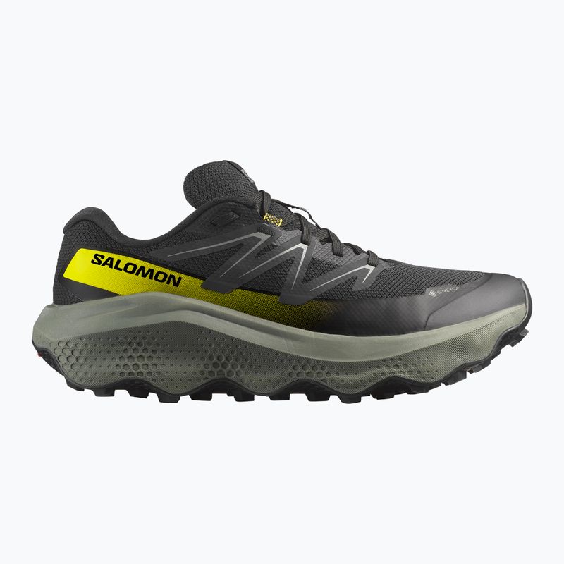 Мъжки обувки за бягане Salomon Ultra Flow 2 GTX black/sedona sage/incaberry 8