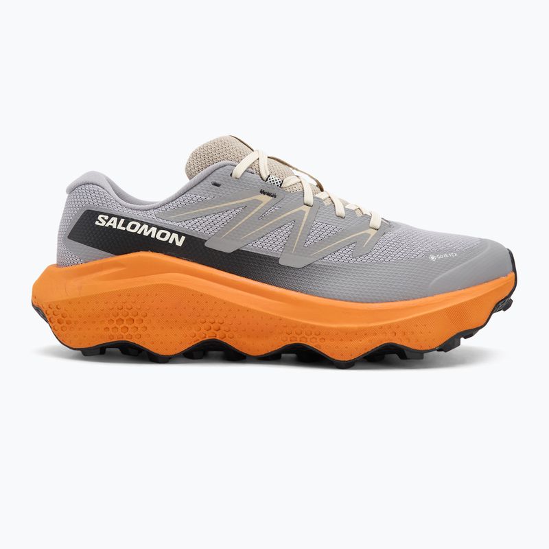 Мъжки обувки за бягане Salomon Ultra Flow 2 GTX gull/turmeric/white pepper 2
