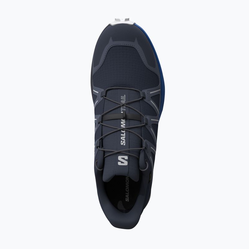 Мъжки обувки за бягане Salomon Speedcross Peak GTX blue nights/grisaille 4