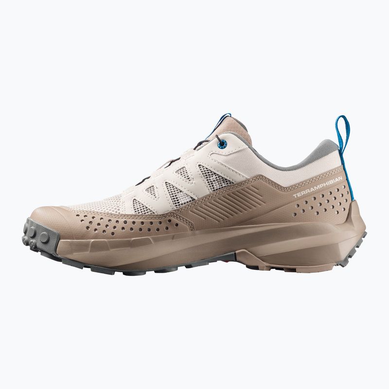 Мъжки туристически обувки Salomon Techamphibian 5 rainy day/desert tan/mykonos blue 10