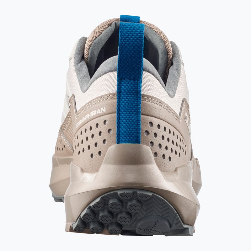Мъжки туристически обувки Salomon Techamphibian 5 rainy day/desert tan/mykonos blue 11
