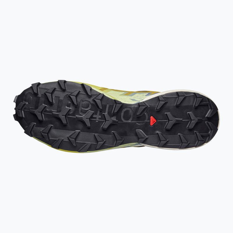 Мъжки обувки за бягане  Salomon Speedcross 6 GTX grape leaf/aspargus green 5