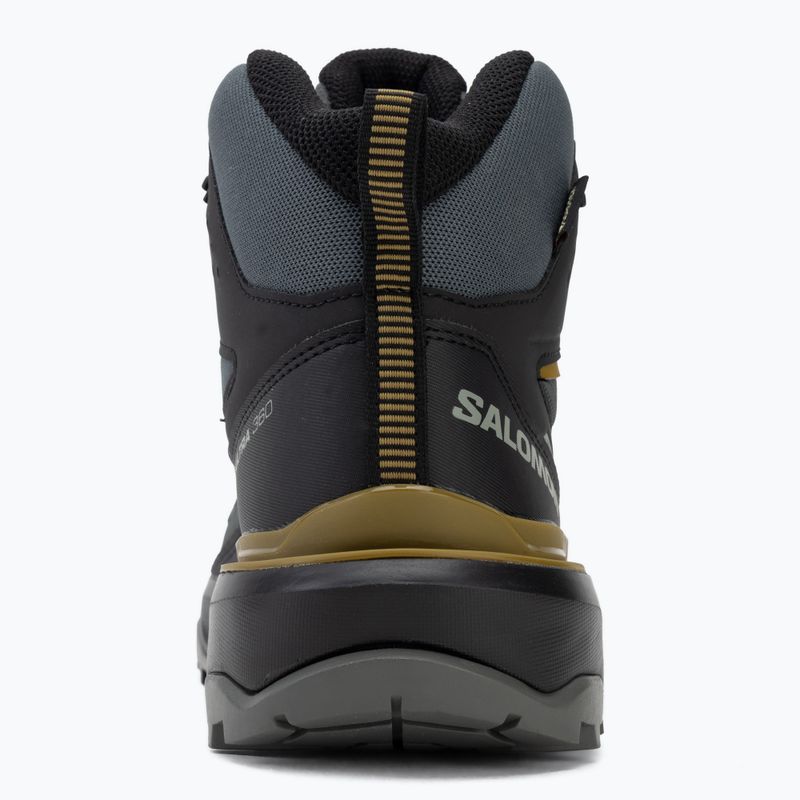 Мъжки обувки за трекинг Salomon X Ultra 360 MID GTX urban chic/black 6