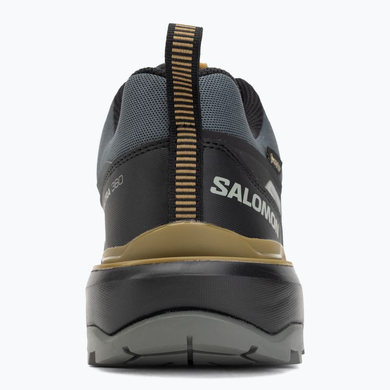 Мъжки обувки за трекинг Salomon X Ultra 360 GTX urban chic/black 6