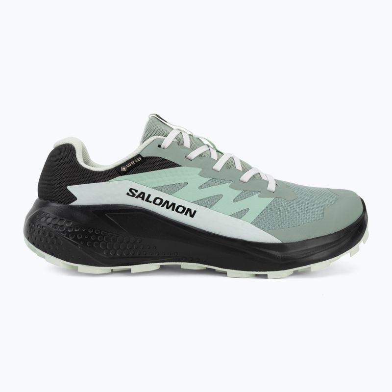 Дамски обувки за бягане Salomon Alphaglide GTX green milieu/asphalt 2