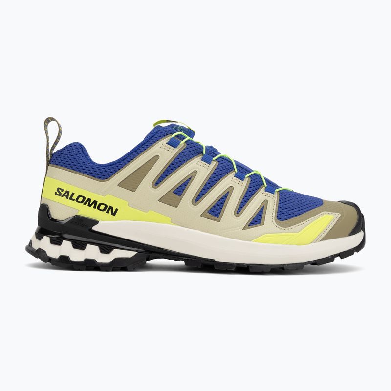 Мъжки обувки за бягане Salomon XA Pro 3D V9 bluing/bog/acid lime 2