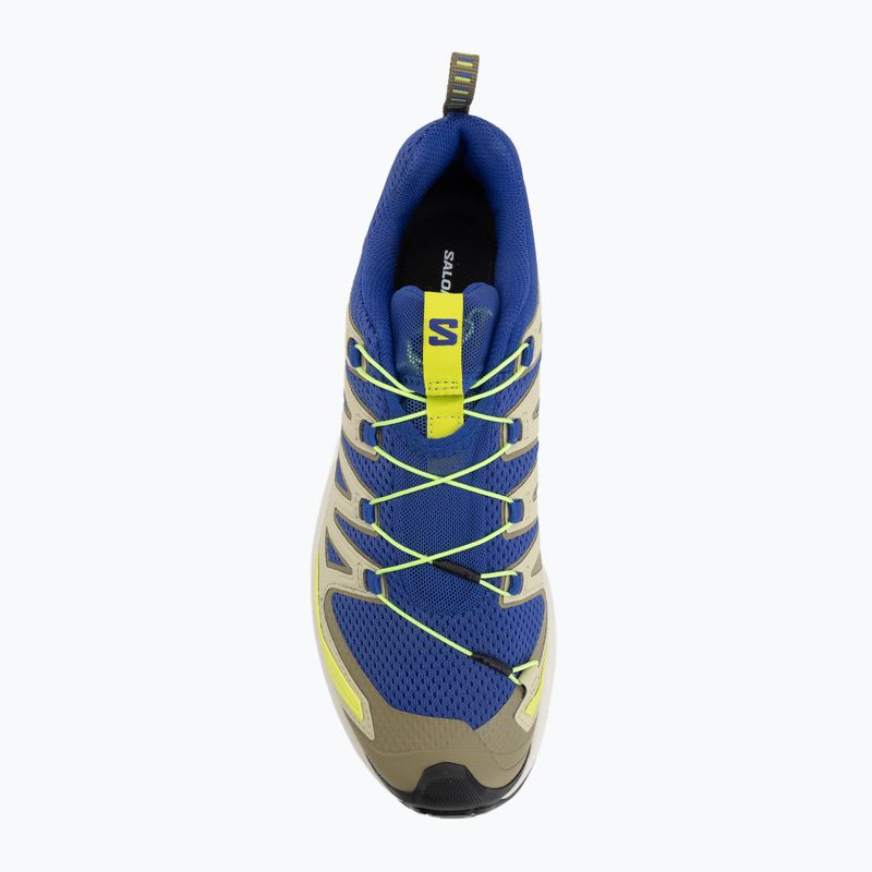 Мъжки обувки за бягане Salomon XA Pro 3D V9 bluing/bog/acid lime 5