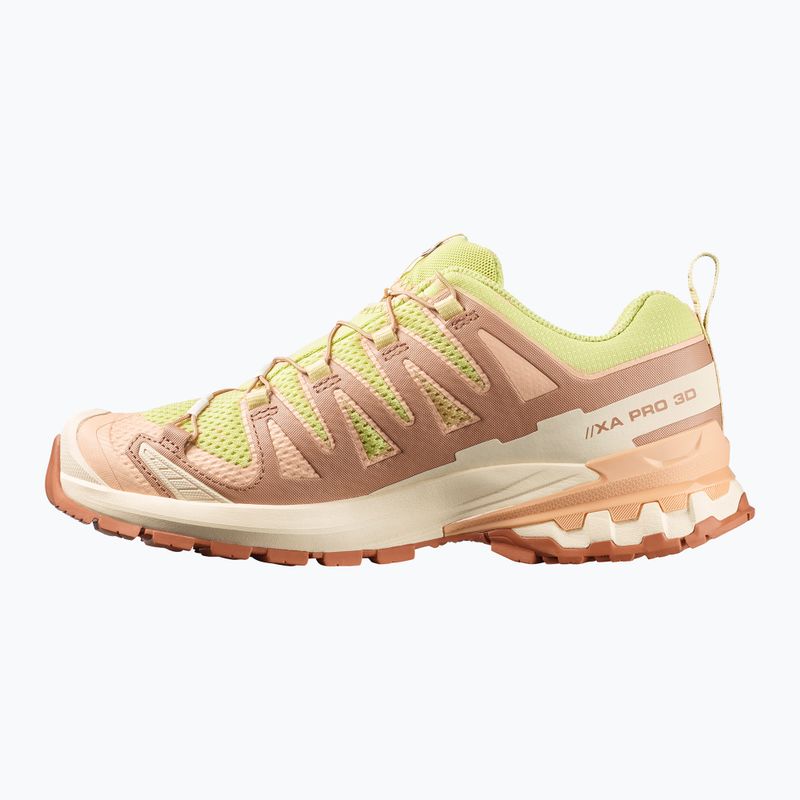 Дамски обувки за бягане Salomon XA Pro 3D V9 endive/burro/almond cream 2