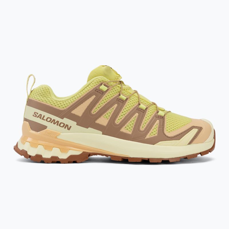 Дамски обувки за бягане Salomon XA Pro 3D V9 endive/burro/almond cream 2