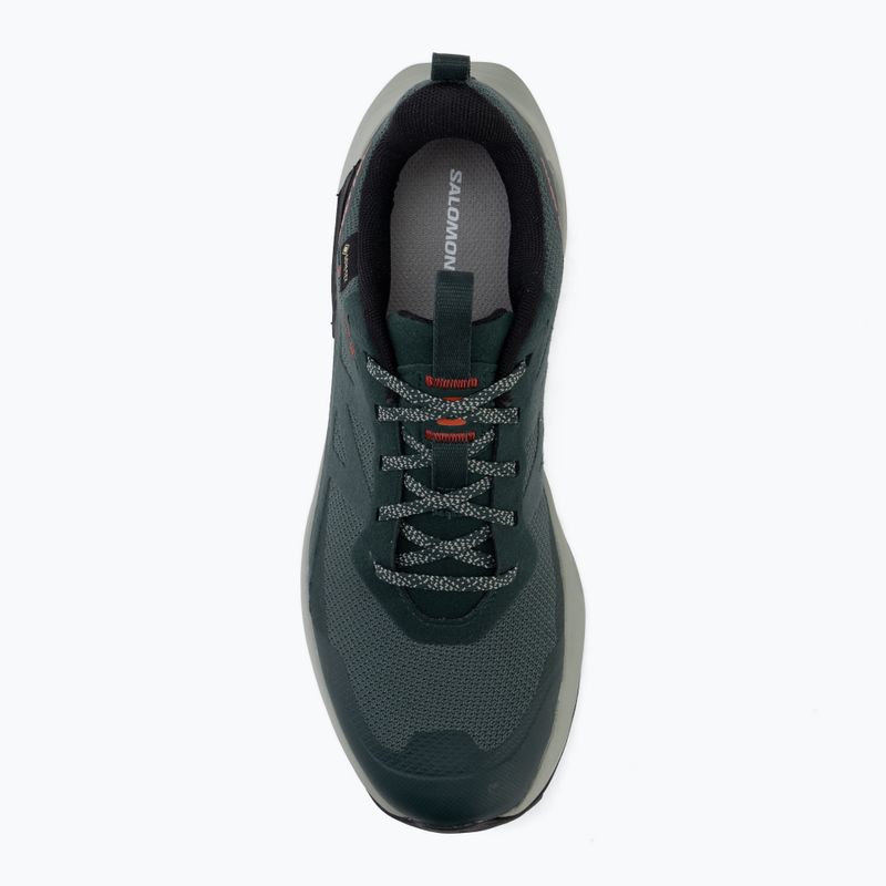 Мъжки туристически обувки Salomon Elixir Activ GTX scarab/green gable 5
