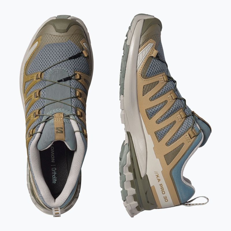 Мъжки обувки за бягане Salomon XA Pro 3D V9 sedona sage/plantation/paloma 5