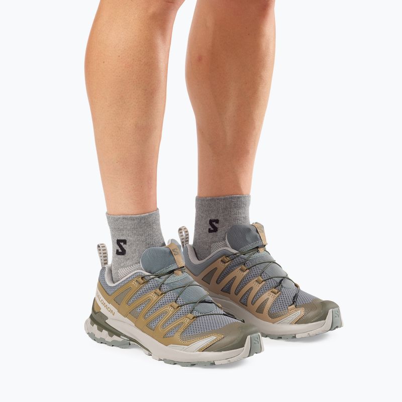 Мъжки обувки за бягане Salomon XA Pro 3D V9 sedona sage/plantation/paloma 7