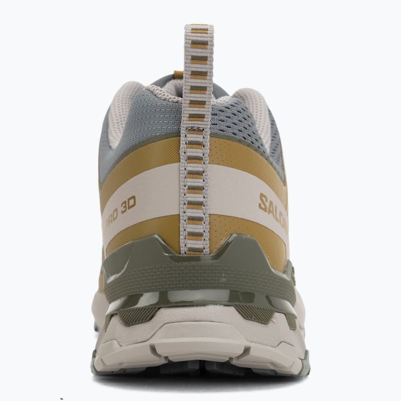 Мъжки обувки за бягане Salomon XA Pro 3D V9 sedona sage/plantation/paloma 6