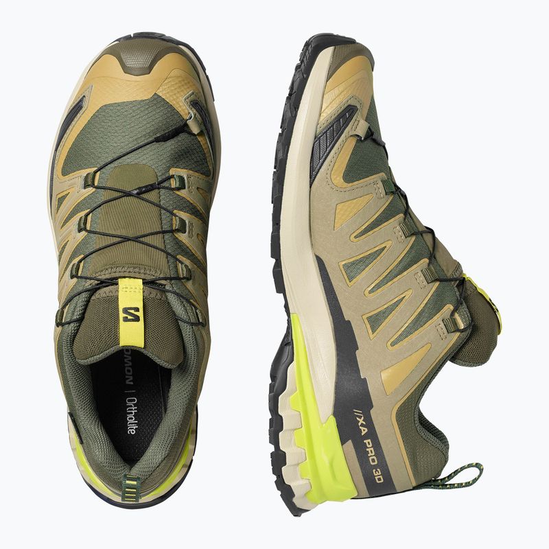 Мъжки обувки за бягане  Salomon XA Pro 3D V9 GTX grape leaf/aloe 3