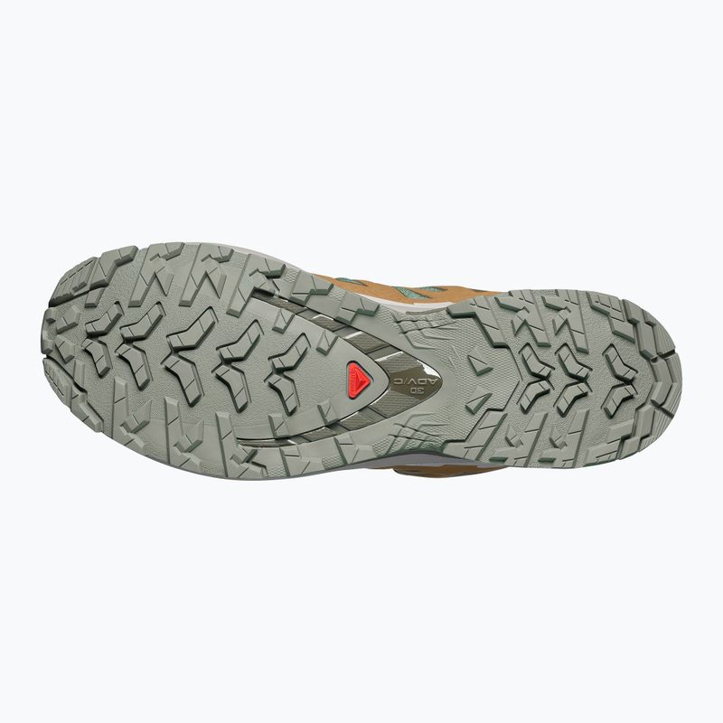 Мъжки обувки за бягане  Salomon XA Pro 3D V9 GTX sedona sage/brilliant olive 4