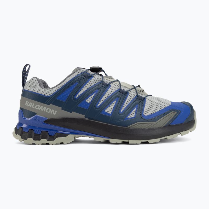 Мъжки обувки за бягане Salomon XA Pro 3D V9 wrought iron/spellbound 2