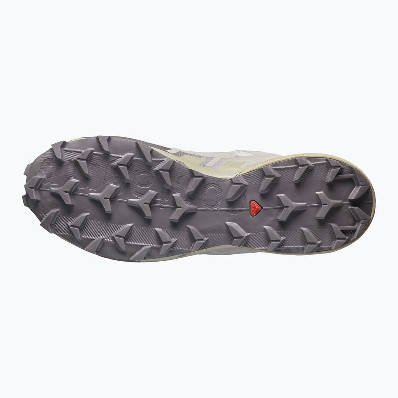 Мъжки обувки за бягане  Salomon Speedcross 6 silver cloud/paloma 5