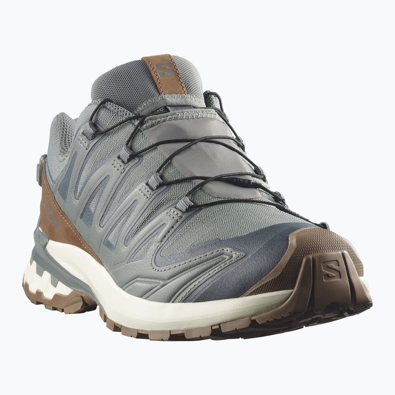Мъжки обувки за бягане  Salomon XA Pro 3D V9 GTX Lifelong sedona sage/coyote brown 2