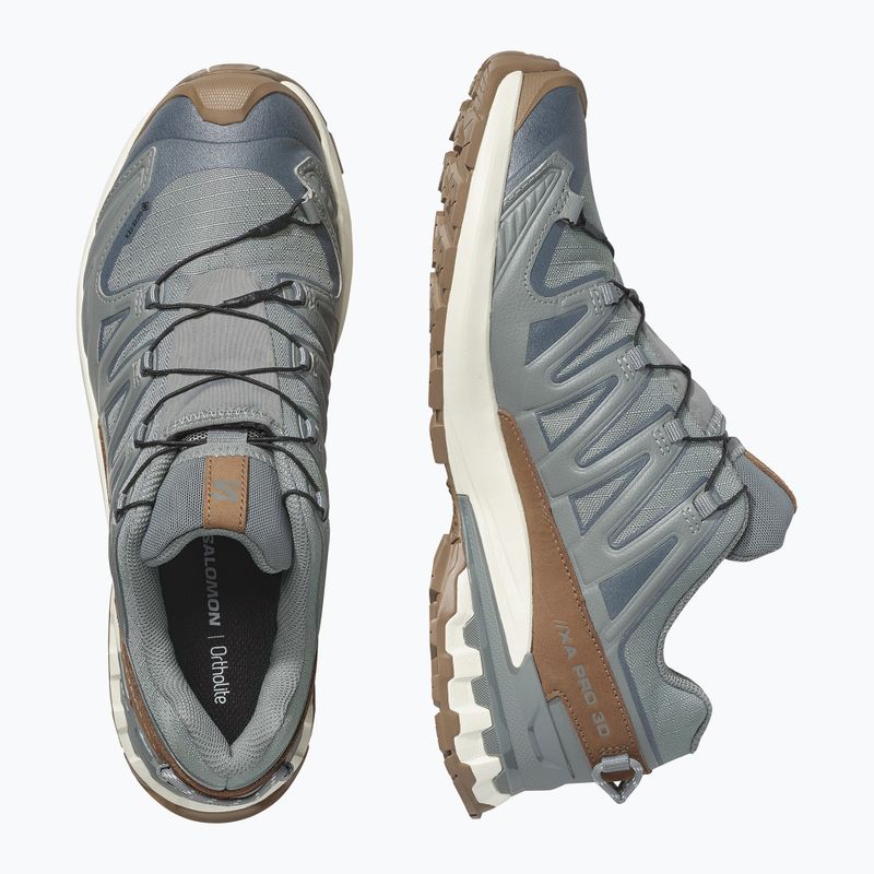 Мъжки обувки за бягане  Salomon XA Pro 3D V9 GTX Lifelong sedona sage/coyote brown 3