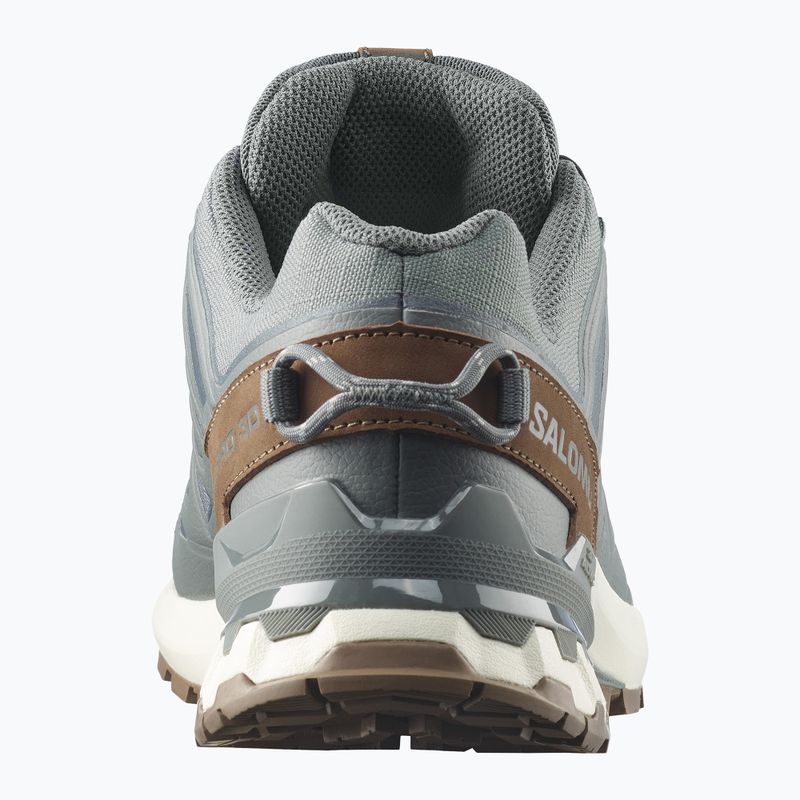 Мъжки обувки за бягане  Salomon XA Pro 3D V9 GTX Lifelong sedona sage/coyote brown 5