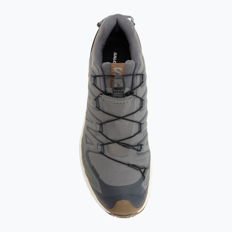 Мъжки обувки за бягане  Salomon XA Pro 3D V9 GTX Lifelong sedona sage/coyote brown 5