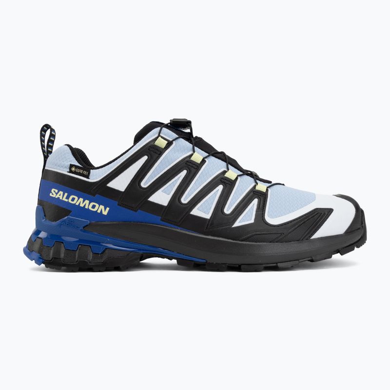 Мъжки обувки за бягане  Salomon XA Pro 3D V9 GTX Icon black/brunnera blue 2