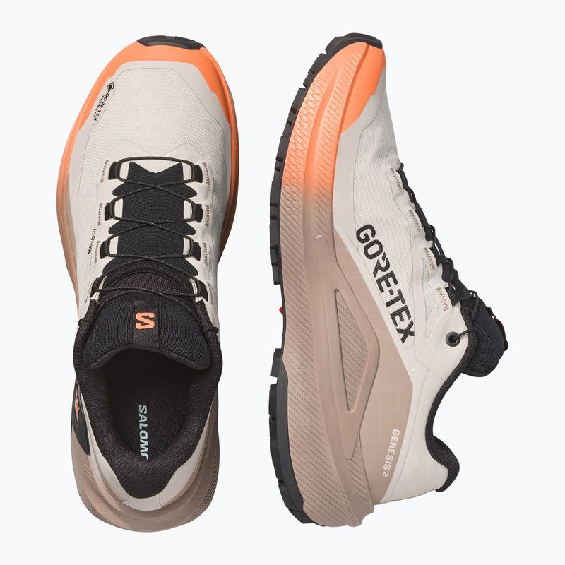 Дамски обувки за бягане Salomon Genesis 2 GTX rainy day/desert tan 3