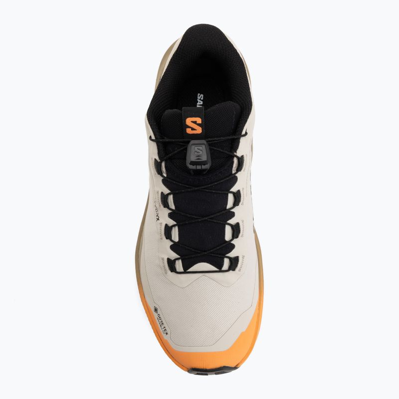 Дамски обувки за бягане Salomon Genesis 2 GTX rainy day/desert tan 5