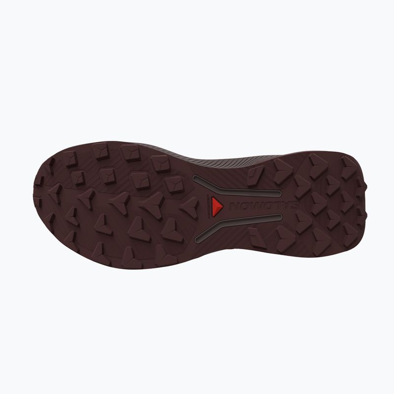 Мъжки обувки за бягане  Salomon Genesis 2 vanilla ice/iron 3