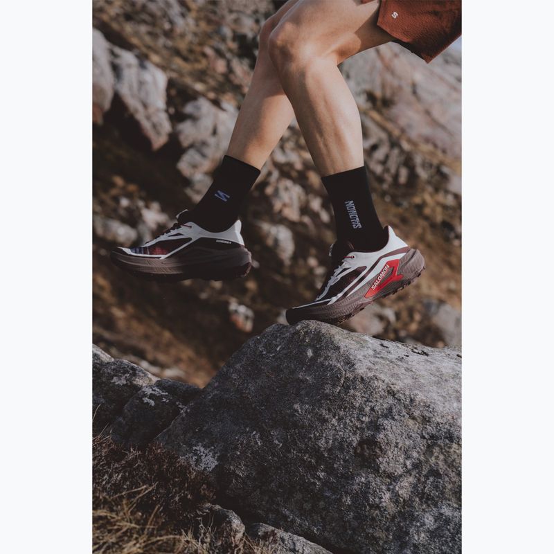 Мъжки обувки за бягане  Salomon Genesis 2 vanilla ice/iron 7