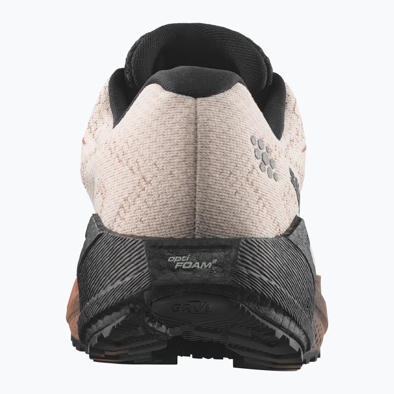 Дамски обувки за бягане Salomon Aero Blaze 4 GRVL GTX vanilla ice/black 2
