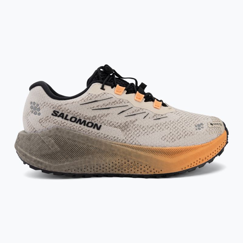 Дамски обувки за бягане Salomon Aero Blaze 4 GRVL GTX rainy day/black 2